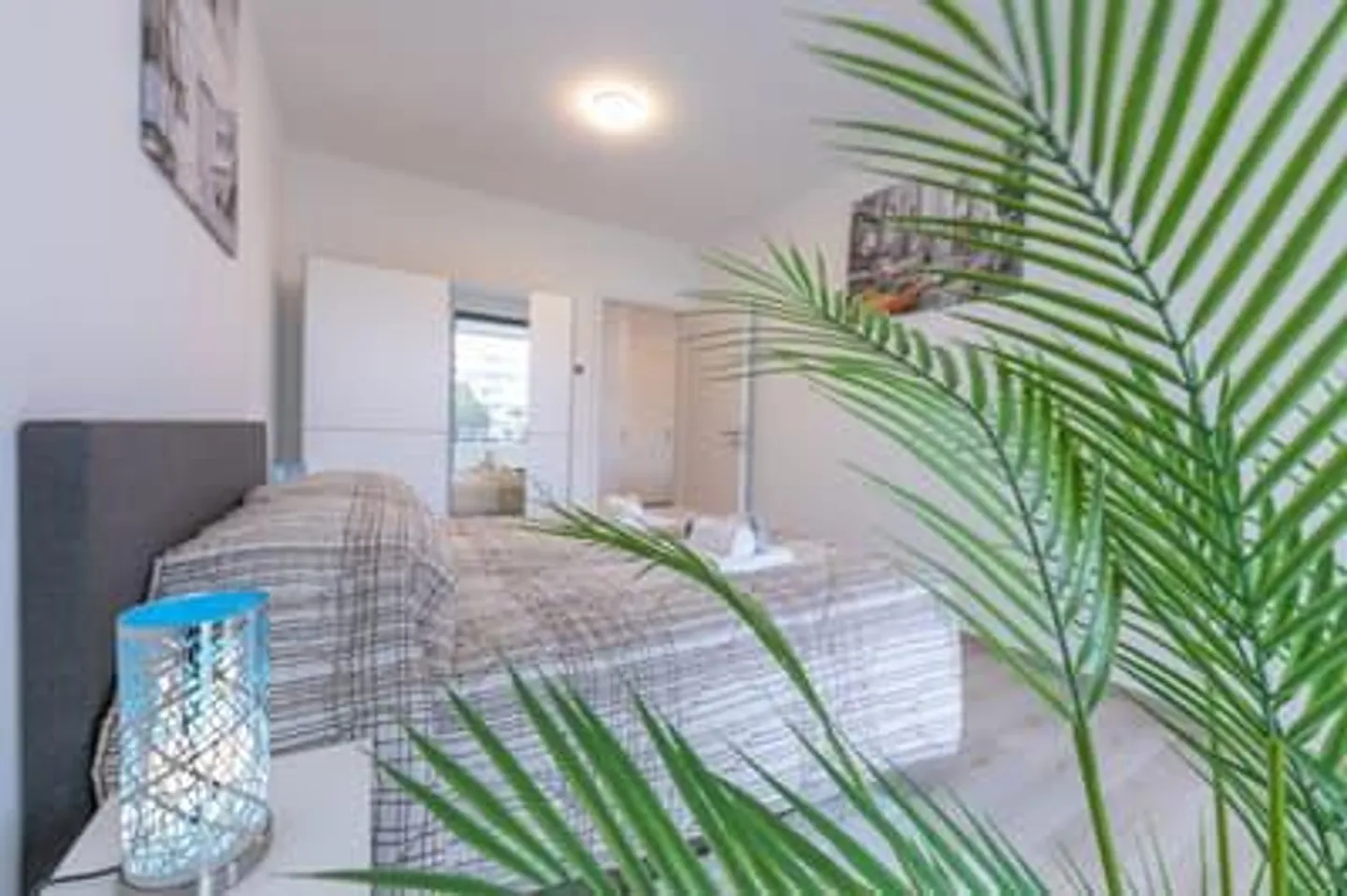 Appartamenti Moderni zona servitissima - Foto 6 di 24