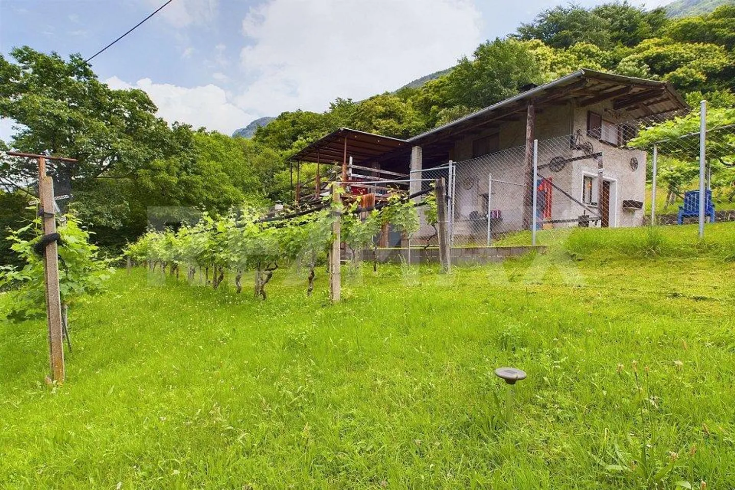 Interessante rustico ticinese con grande terreno - Foto 6 di 13