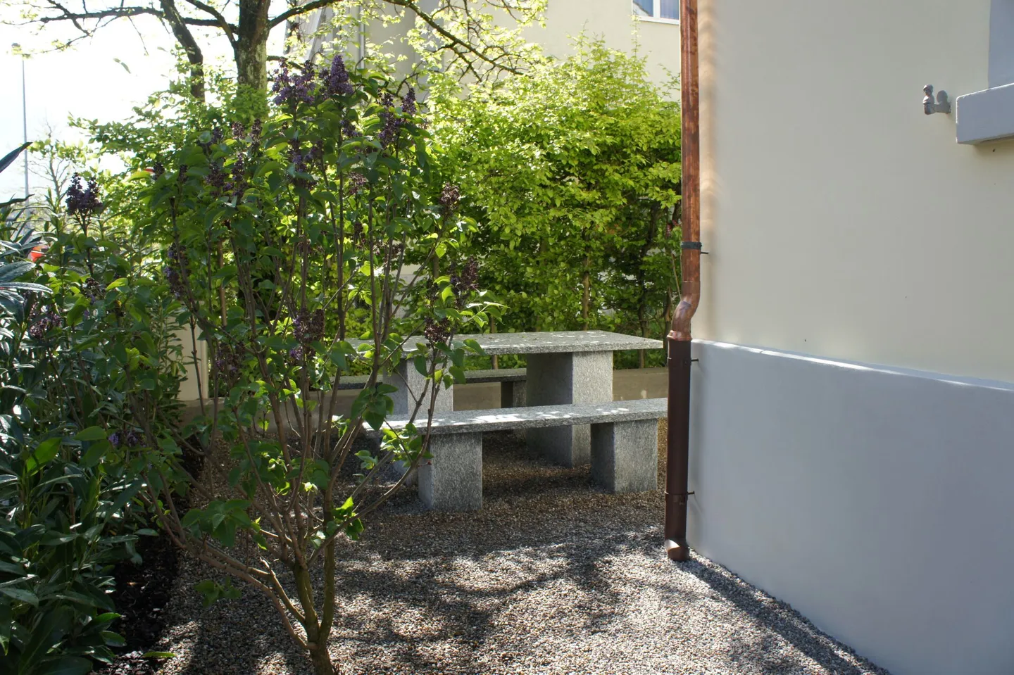 Loft esclusivo in città nel cuore di Wil - Foto 9 di 13