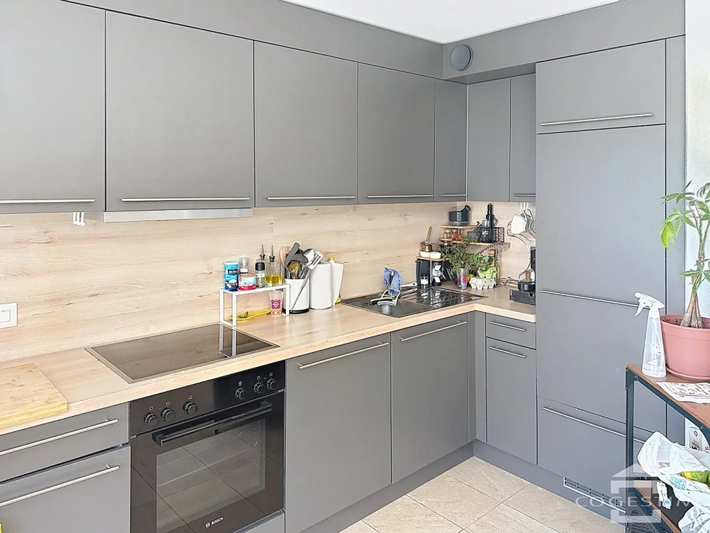 2,5-Zimmer-Wohnung - Foto 5 von 9
