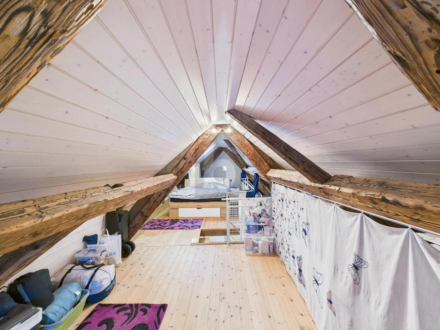 TERRAZZA, GIARDINO D'INVERNO E GIARDINO PRIVATO - Foto 4 di 6