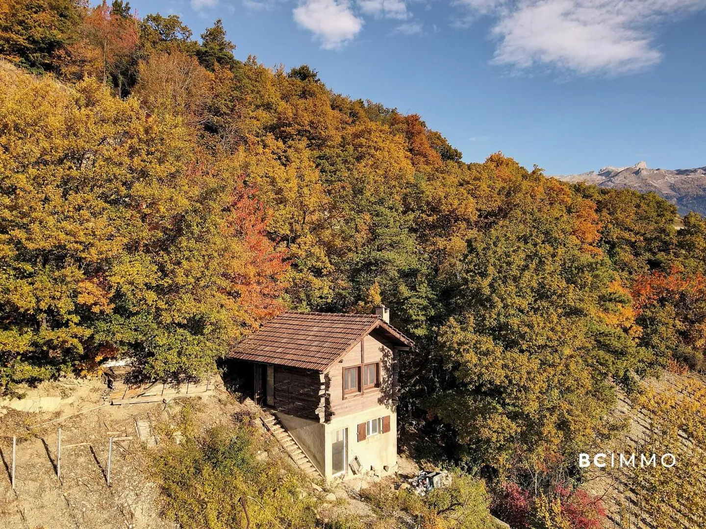Authentic guardhouse in the heart of the Sierre vineyard - Photo 5 of 13