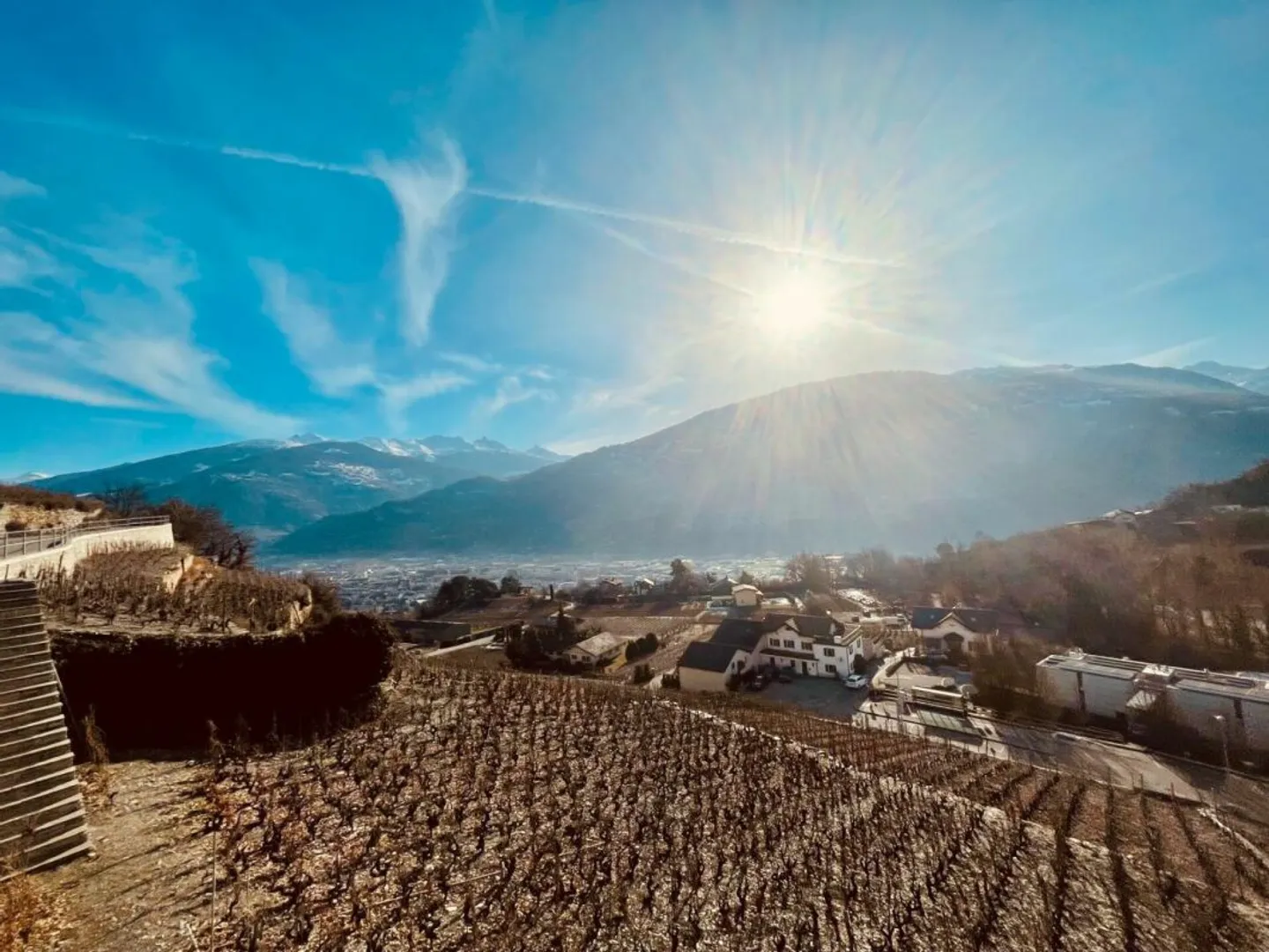 Diolly "Opus Verde" Sion - Foto 2 di 14