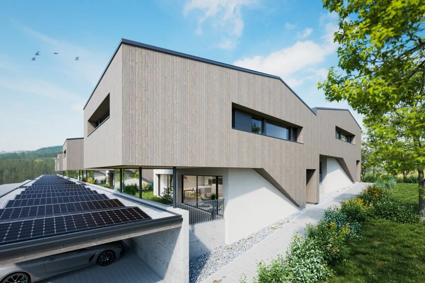 Diolly "Opus Verde" Sion - Foto 3 di 14