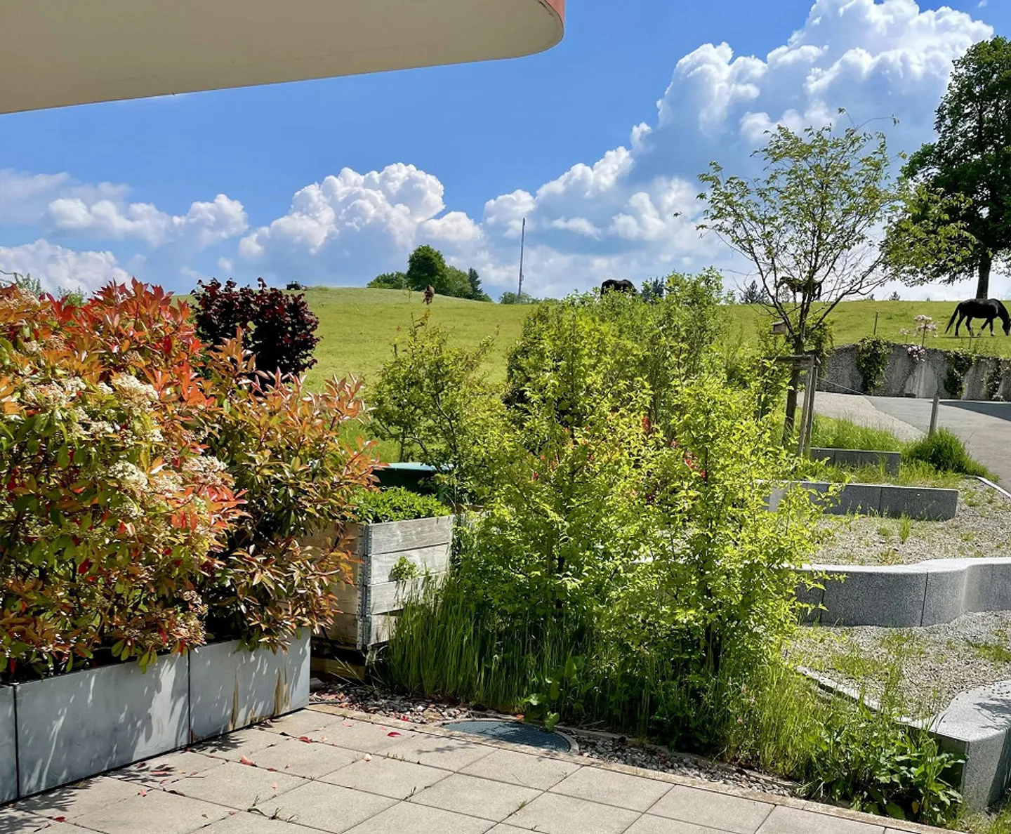 Espace de bureau de 48 m2 avec vue sur la verdure (+14 m2 salle de réunion à partager) - Photo 1 sur 5