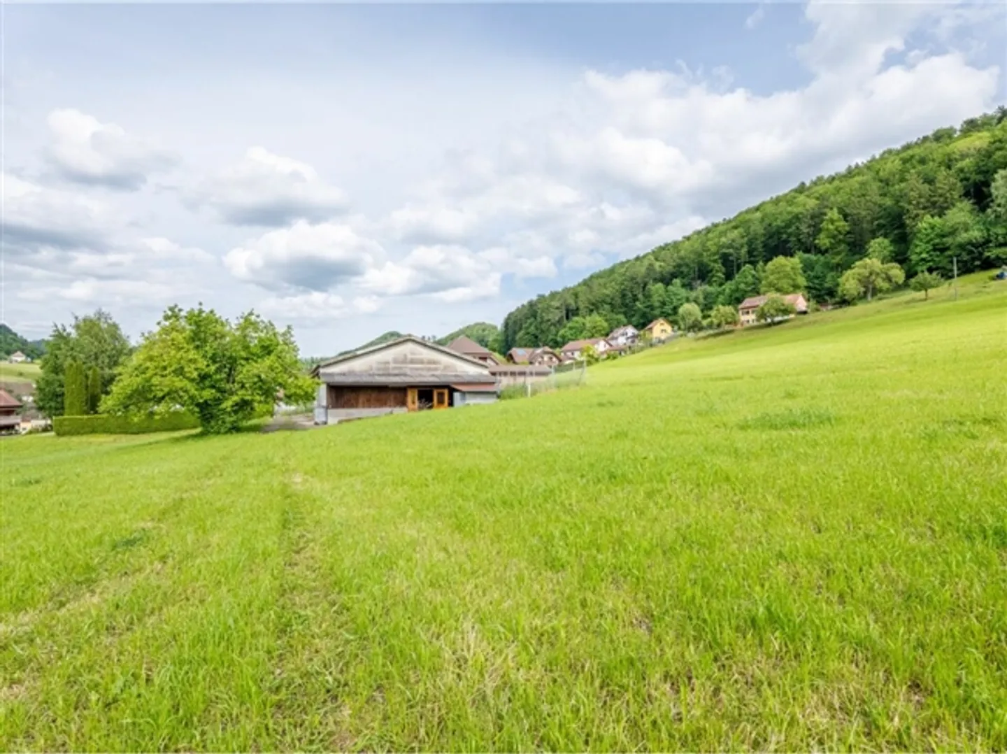 Terrain constructible ensoleillé de 1'943 m² avec un potentiel d'utilisation polyvalent - Photo 17 sur 20