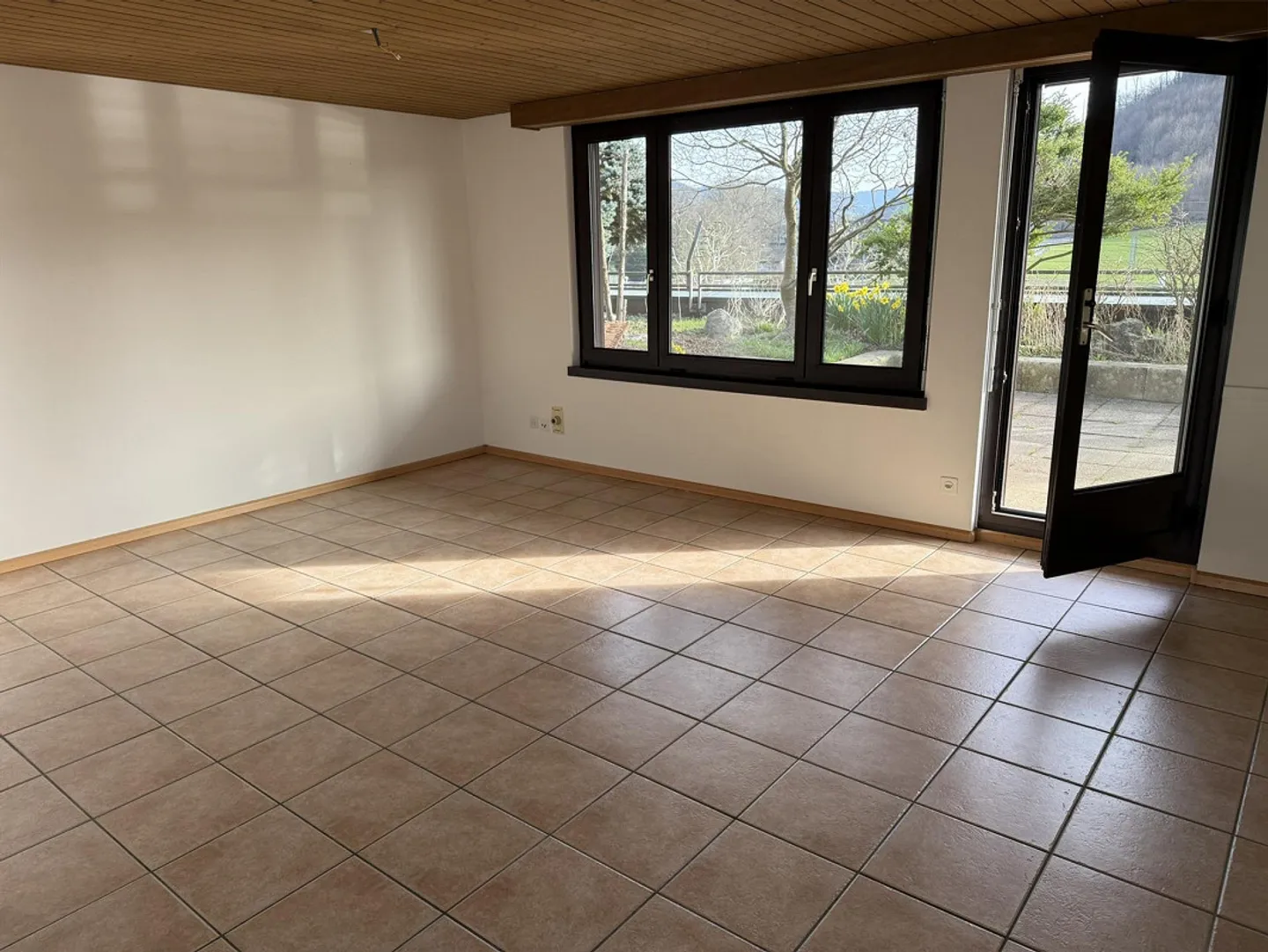 Ampio appartamento attico di 4,5 stanze con giardino sul tetto - Foto 4 di 17