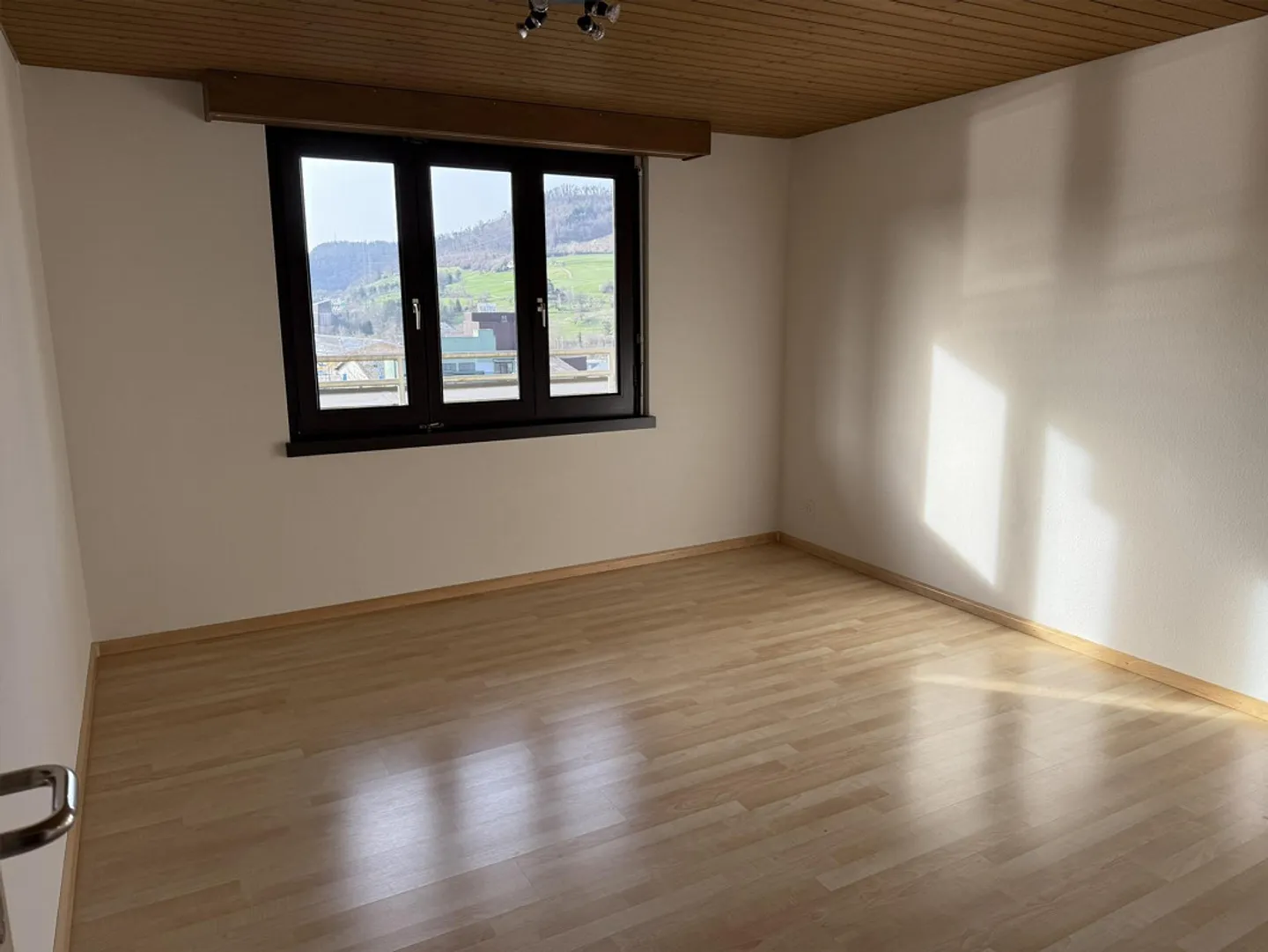 Ampio appartamento attico di 4,5 stanze con giardino sul tetto - Foto 7 di 17
