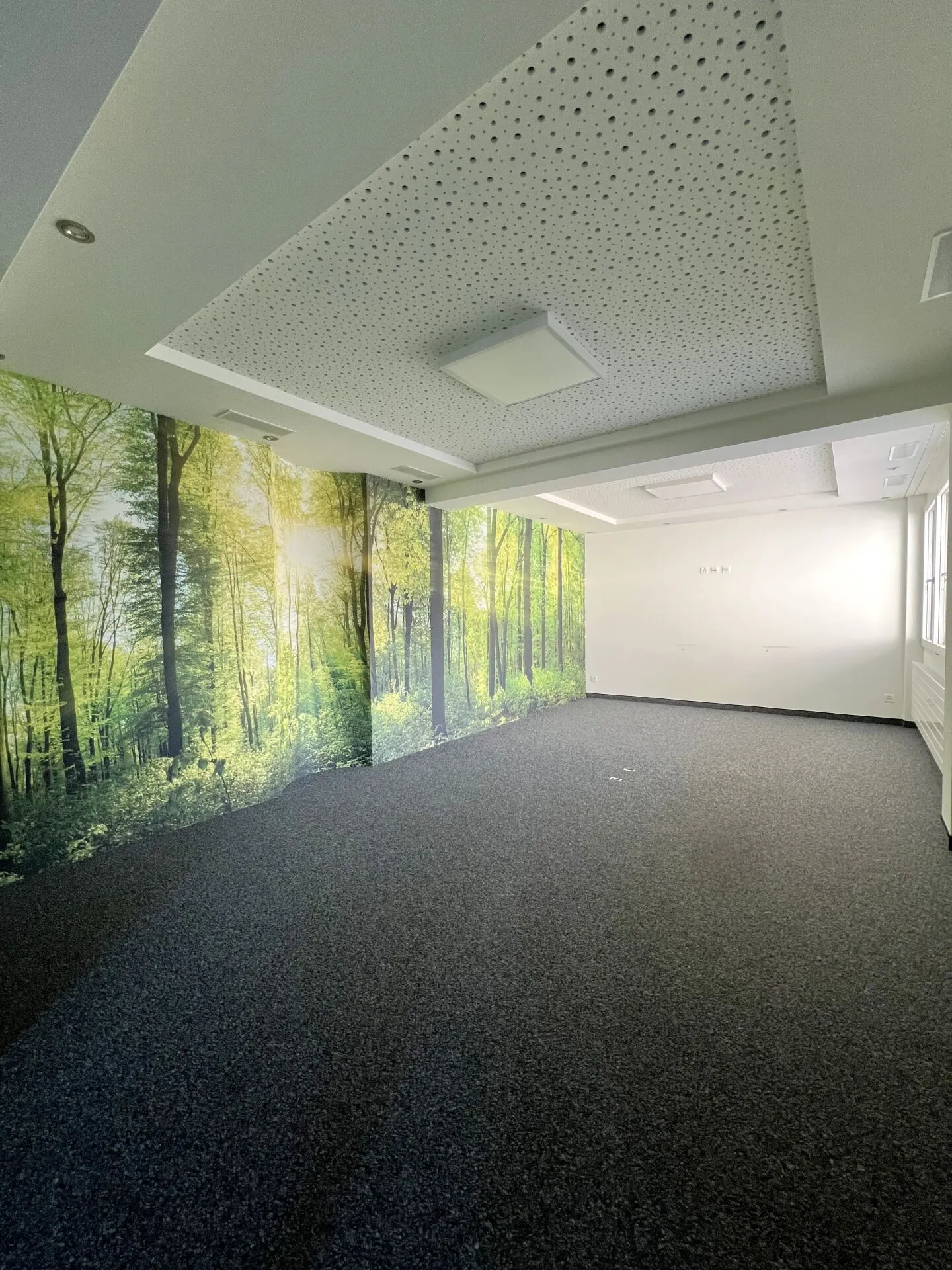 TEMPORARY - Modern Office Spaces Near Schwyz Train Station - Photo 2 of 9