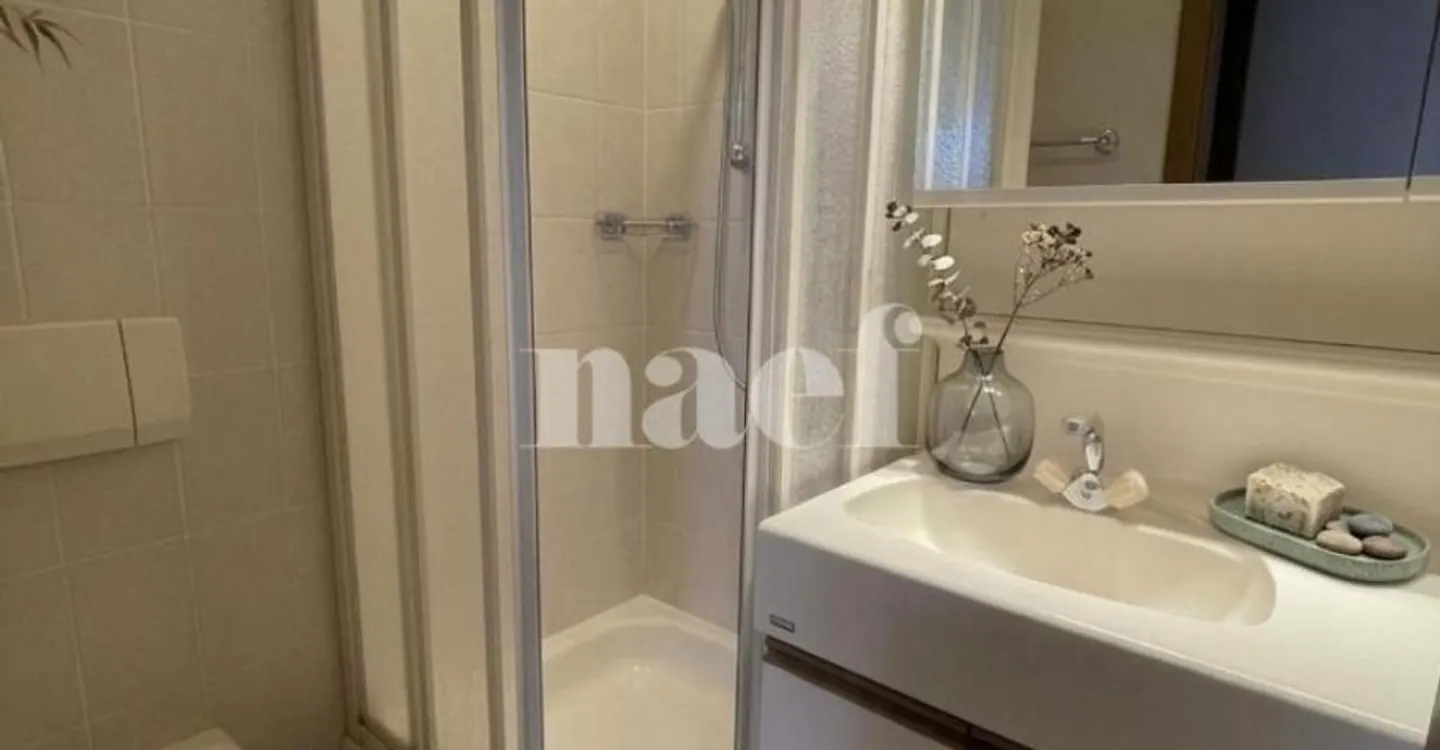 Charming Duplex Apartment in Founex - Photo 9 of 11