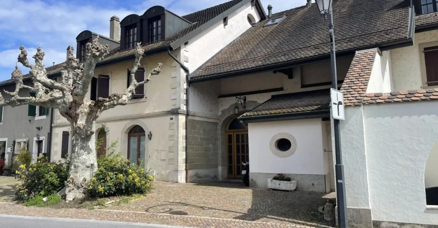 Charming Duplex Apartment in Founex - Photo 11 of 11