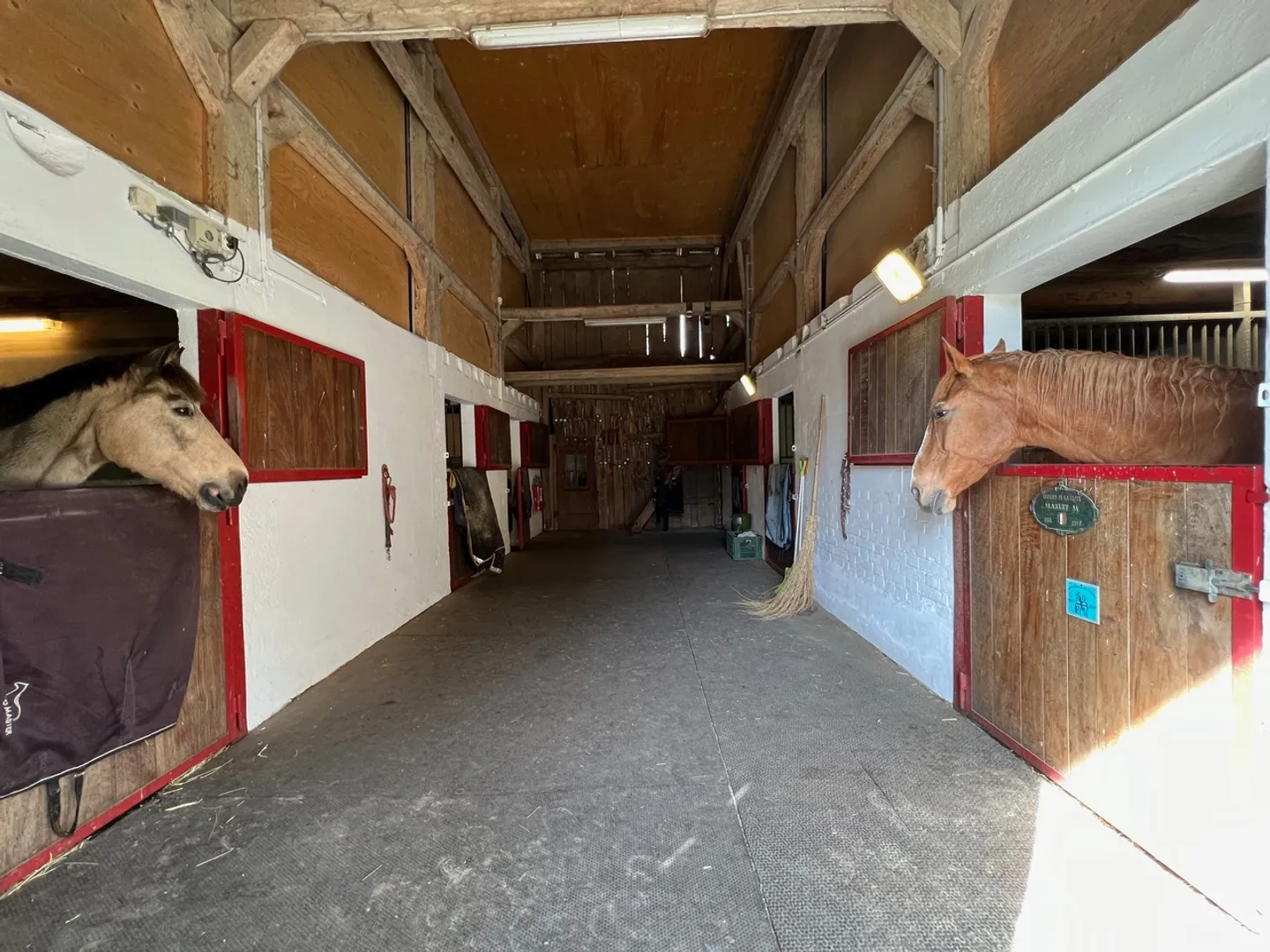 Magnificent Equestrian Property in a Peaceful Setting - Photo 4 of 9