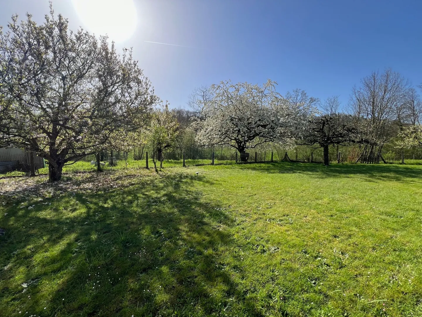 Magnificent Equestrian Property in a Peaceful Setting - Photo 6 of 9
