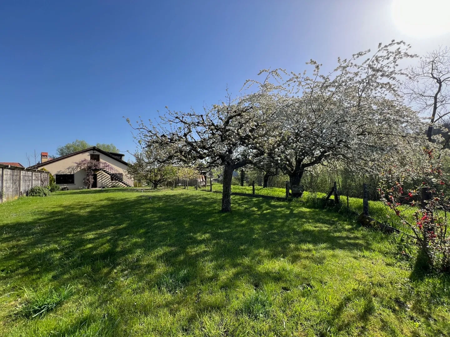 Magnificent Equestrian Property in a Peaceful Setting - Photo 7 of 9