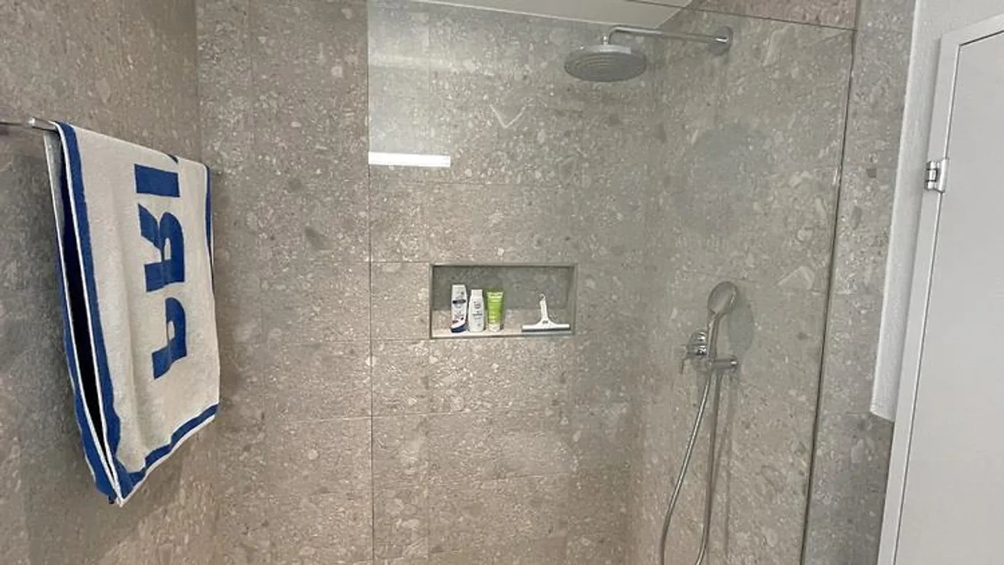 APPARTAMENTO 4½ LOCALI A GRÜNINGEN (ZH), ARREDATO, TEMPORANEO - Foto 7 di 10