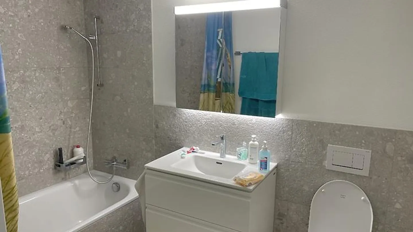 APPARTAMENTO 4½ LOCALI A GRÜNINGEN (ZH), ARREDATO, TEMPORANEO - Foto 8 di 10