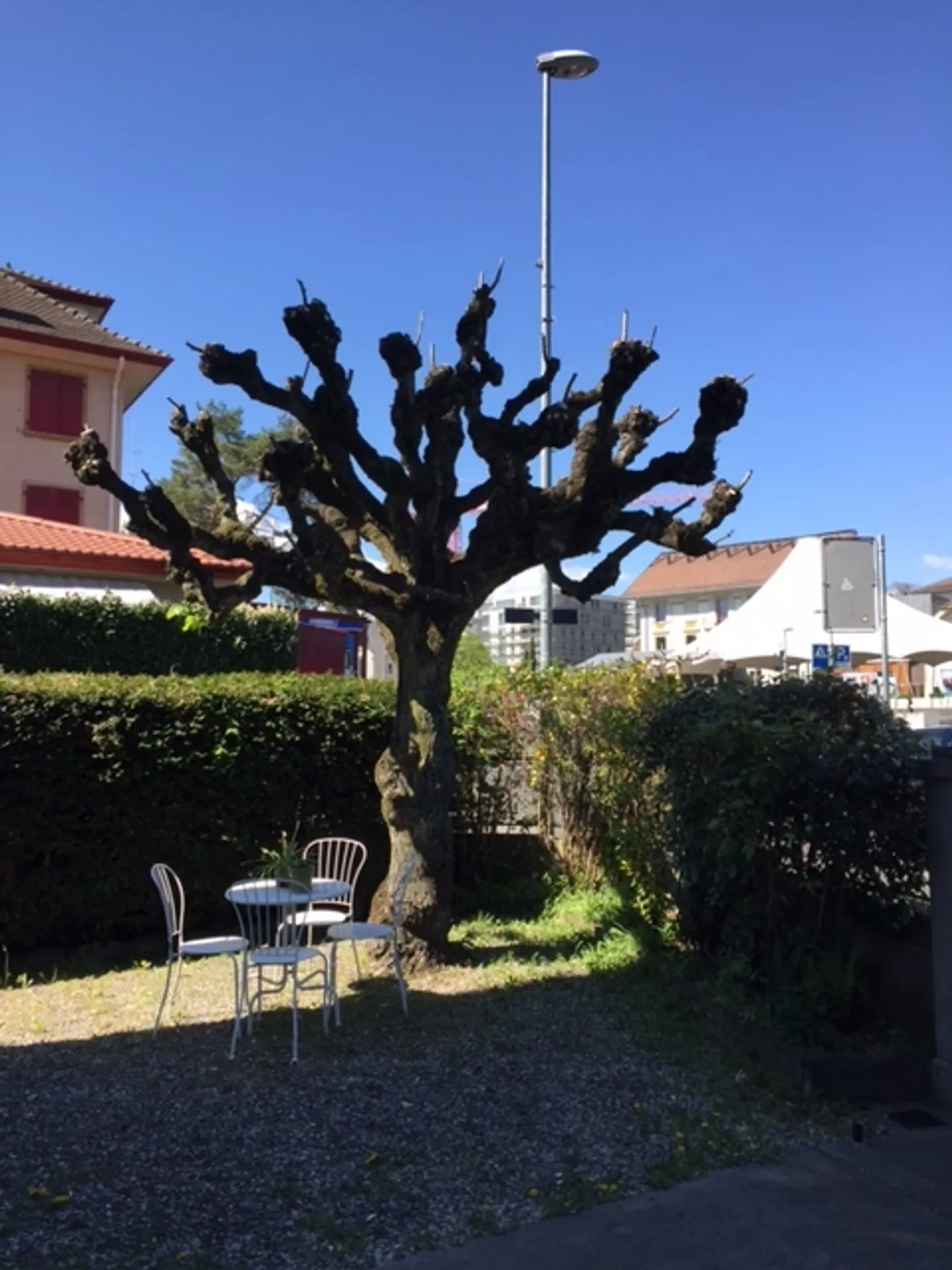 Appartamento 2.5 locali - Foto 10 di 11