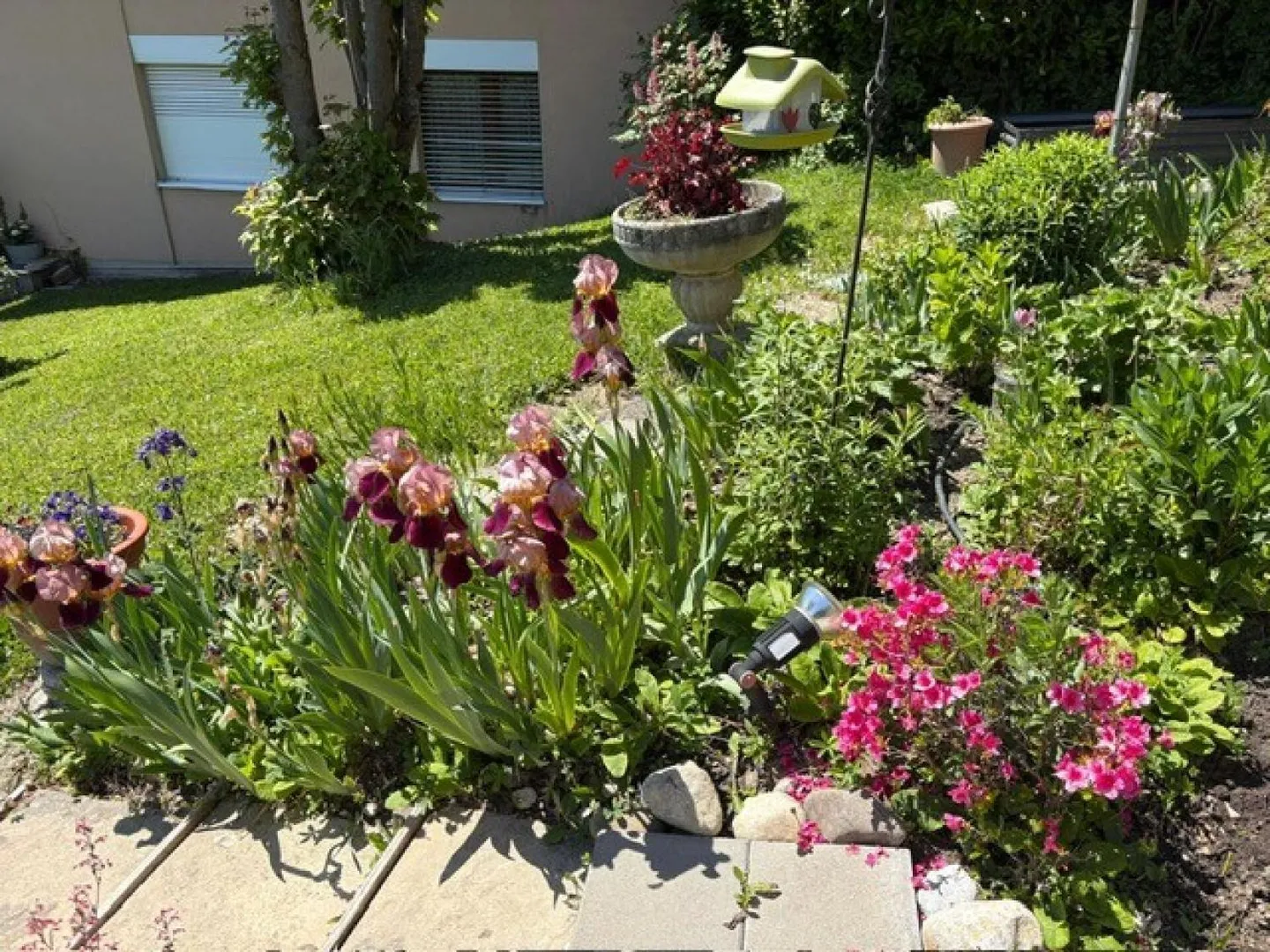 Appartamento di 4,5 locali - Foto 3 di 3
