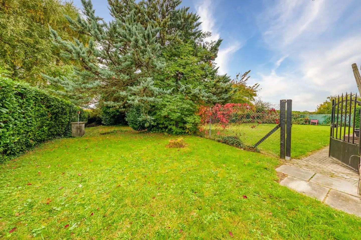 Magnifica villa 7 locali con grande terreno - Foto 8 di 8