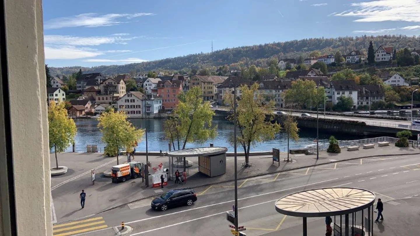 Helle Wohnung mit Rheinblick - Foto 13 von 13