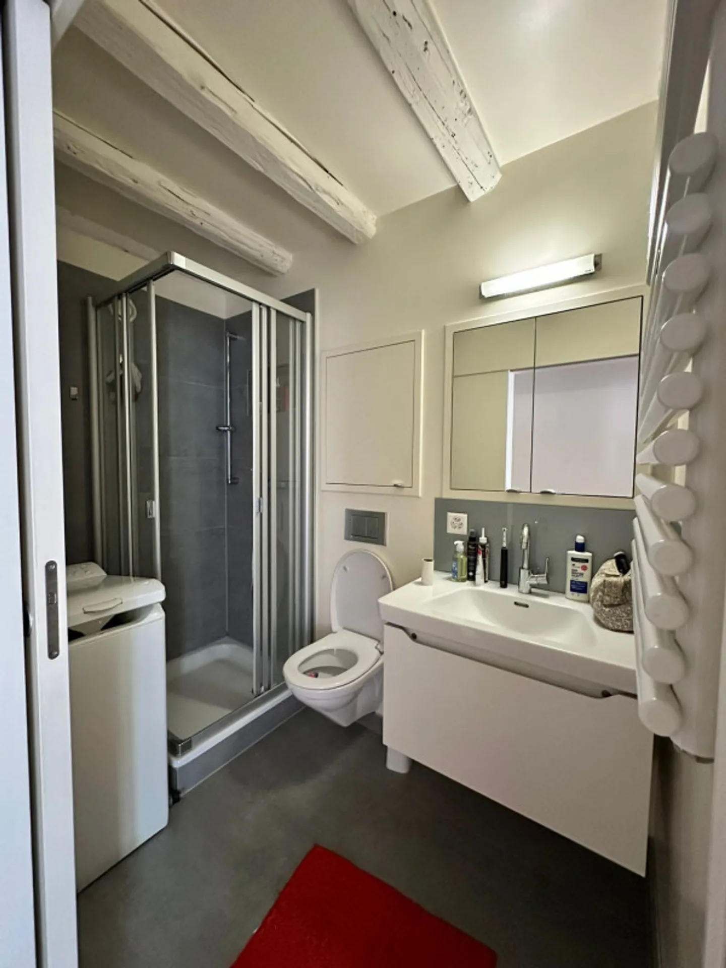 Superbe appartement lumineux à Chêne-Bourg - Photo 6 sur 7