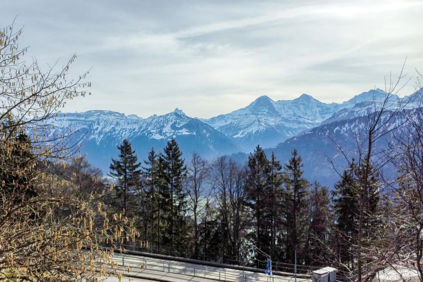 Splendido lotto edificabile con vista sull'Eiger, Mönch e Jungfrau - Foto 3 di 10