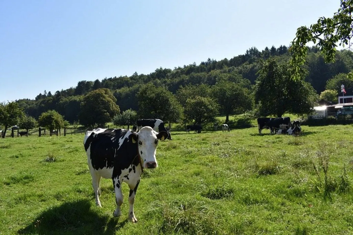 Profitez de la vie à la campagne à un prix idyllique - Photo 10 sur 11