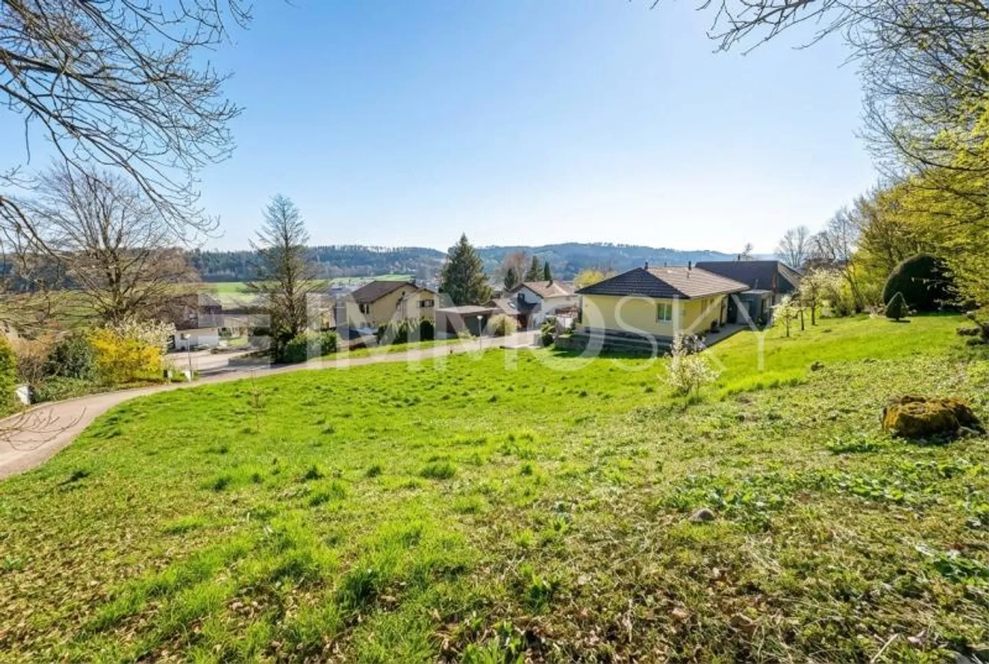 Traumgrundstück am Waldrand - Foto 3 von 5