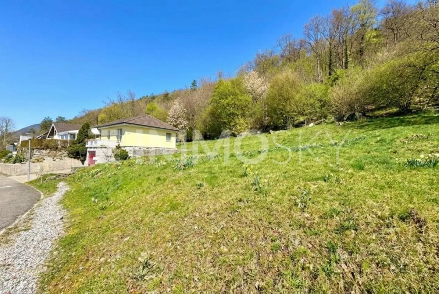 Traumgrundstück am Waldrand - Foto 4 von 5