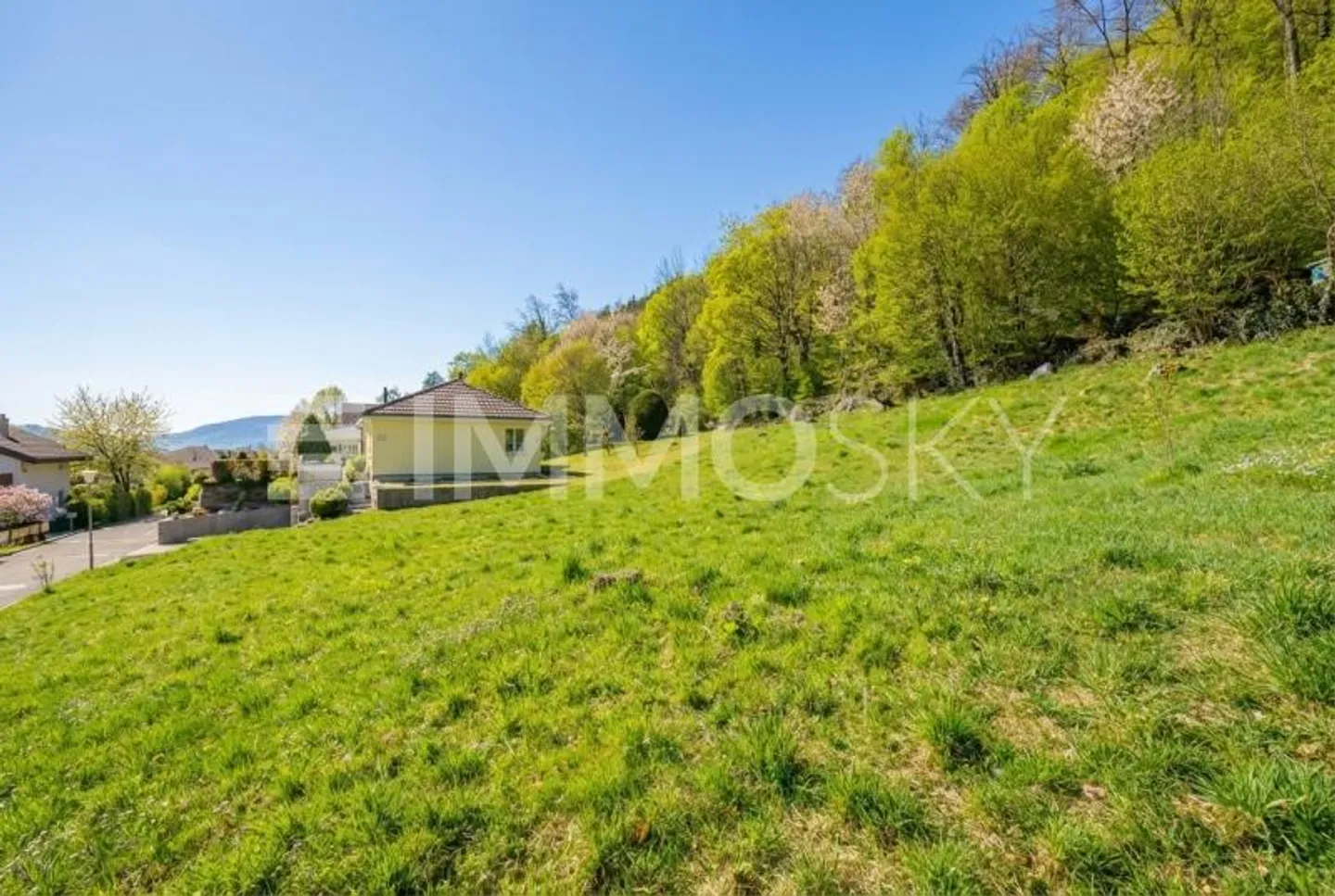 Traumgrundstück am Waldrand - Foto 5 von 5