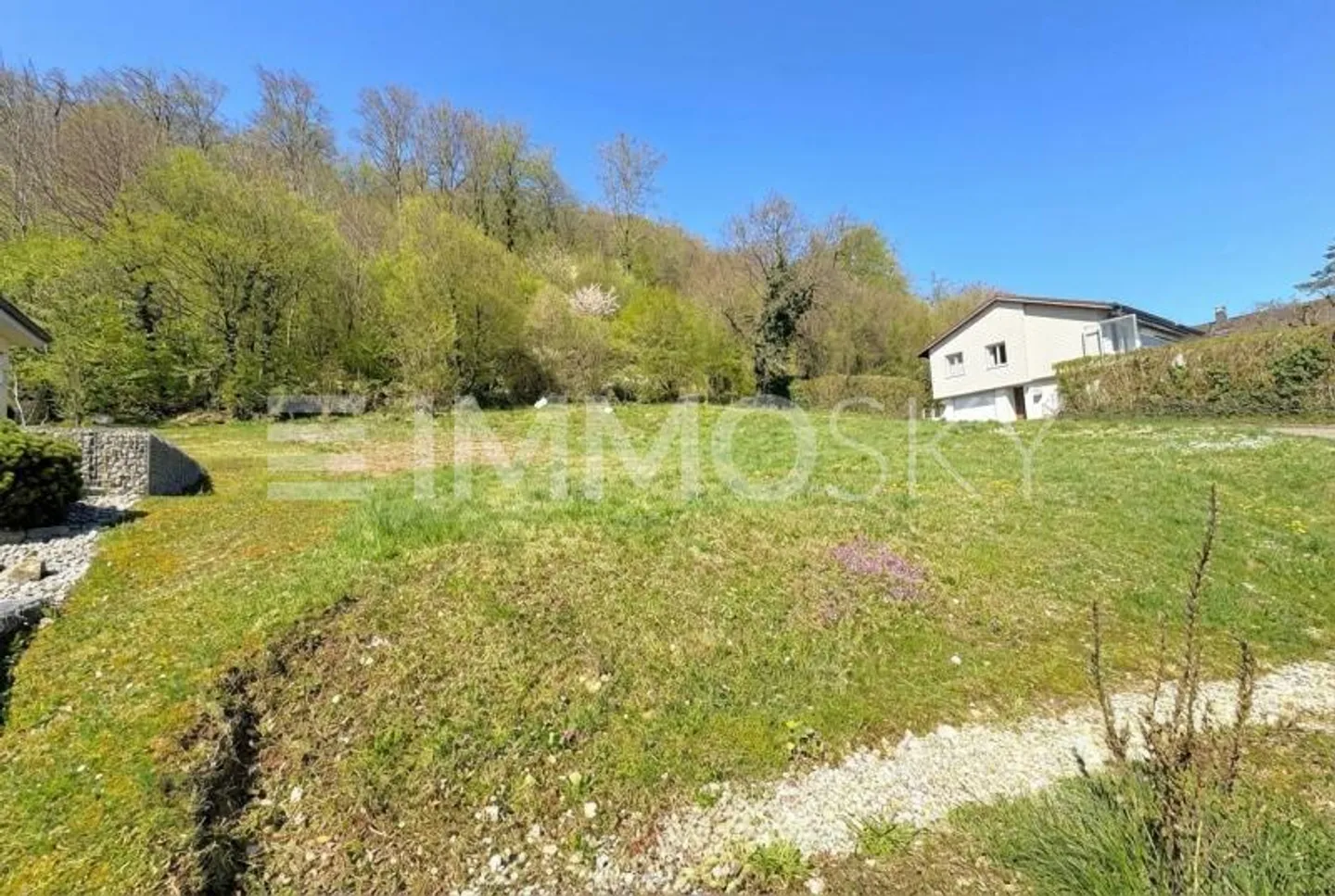 Traumgrundstück am Waldrand - Foto 2 von 5