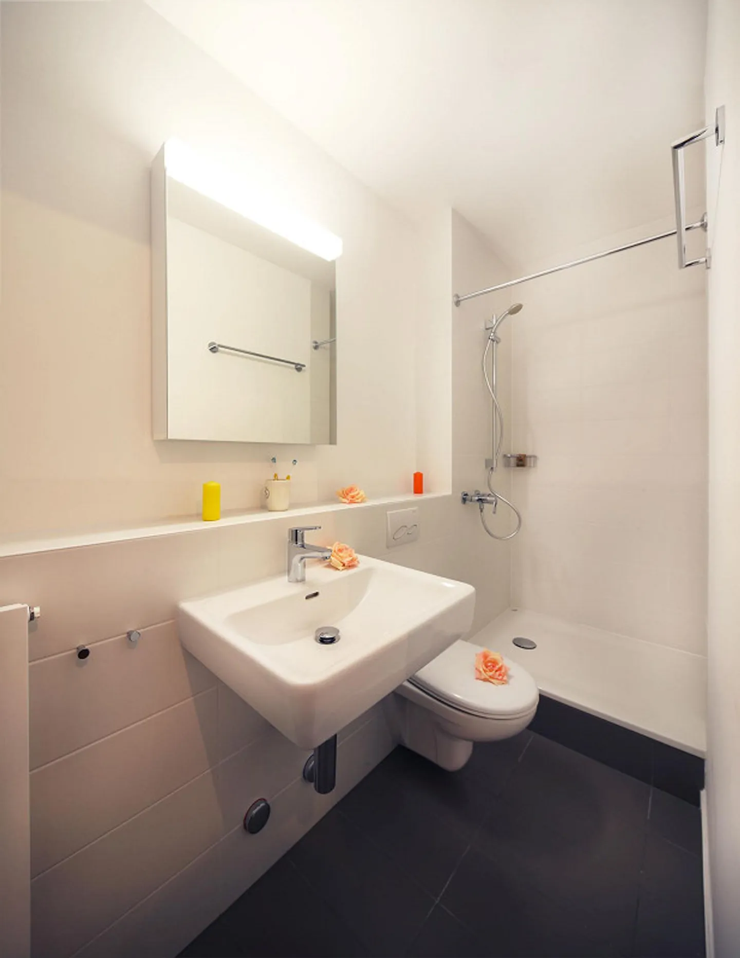2-room apartment in Lugano - Photo 4 of 9