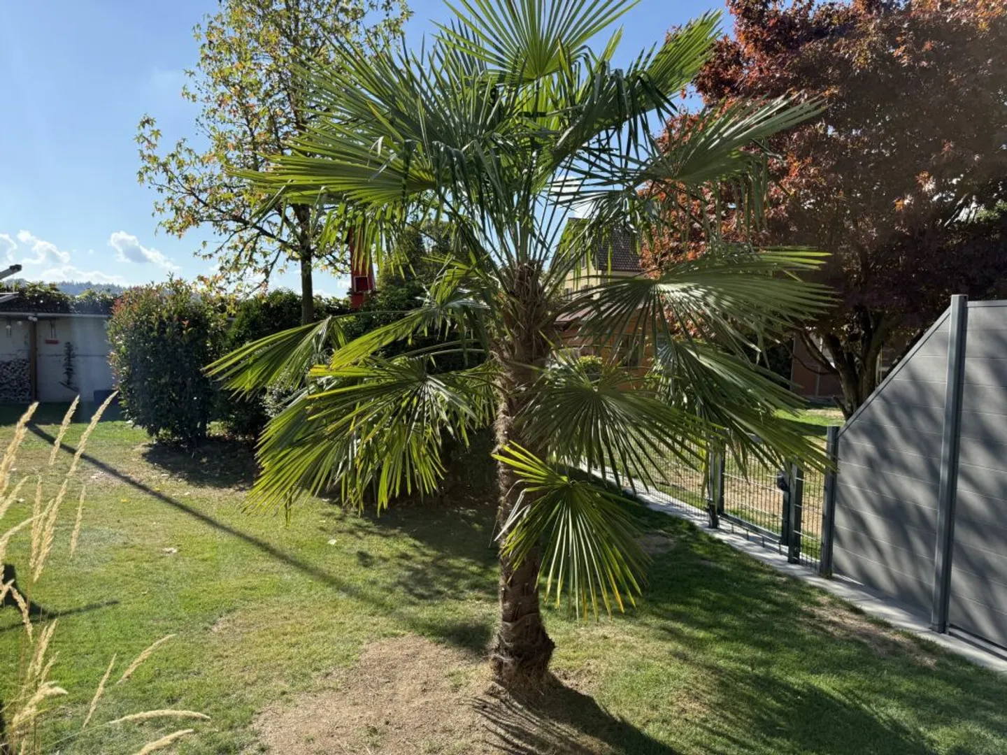 Charmante Maison Individuelle avec Jardin - Photo 22 sur 28