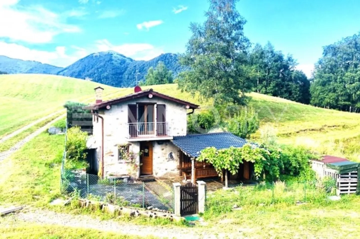 «Vivi il sogno una gemma nascosta nella natura .» - Foto 2 di 6