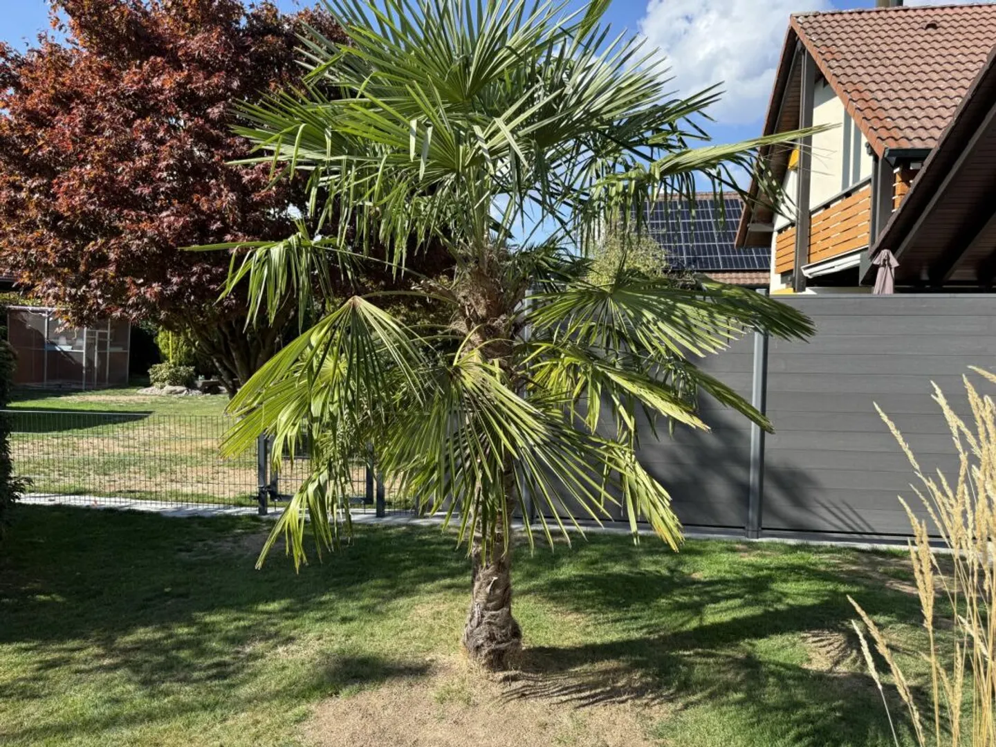 Charmante Maison Individuelle avec Jardin - Photo 23 sur 28