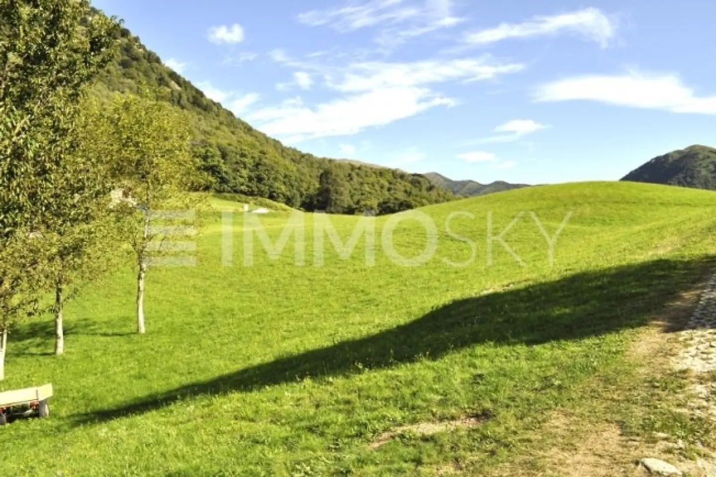 «Vivi il sogno una gemma nascosta nella natura .» - Foto 5 di 6
