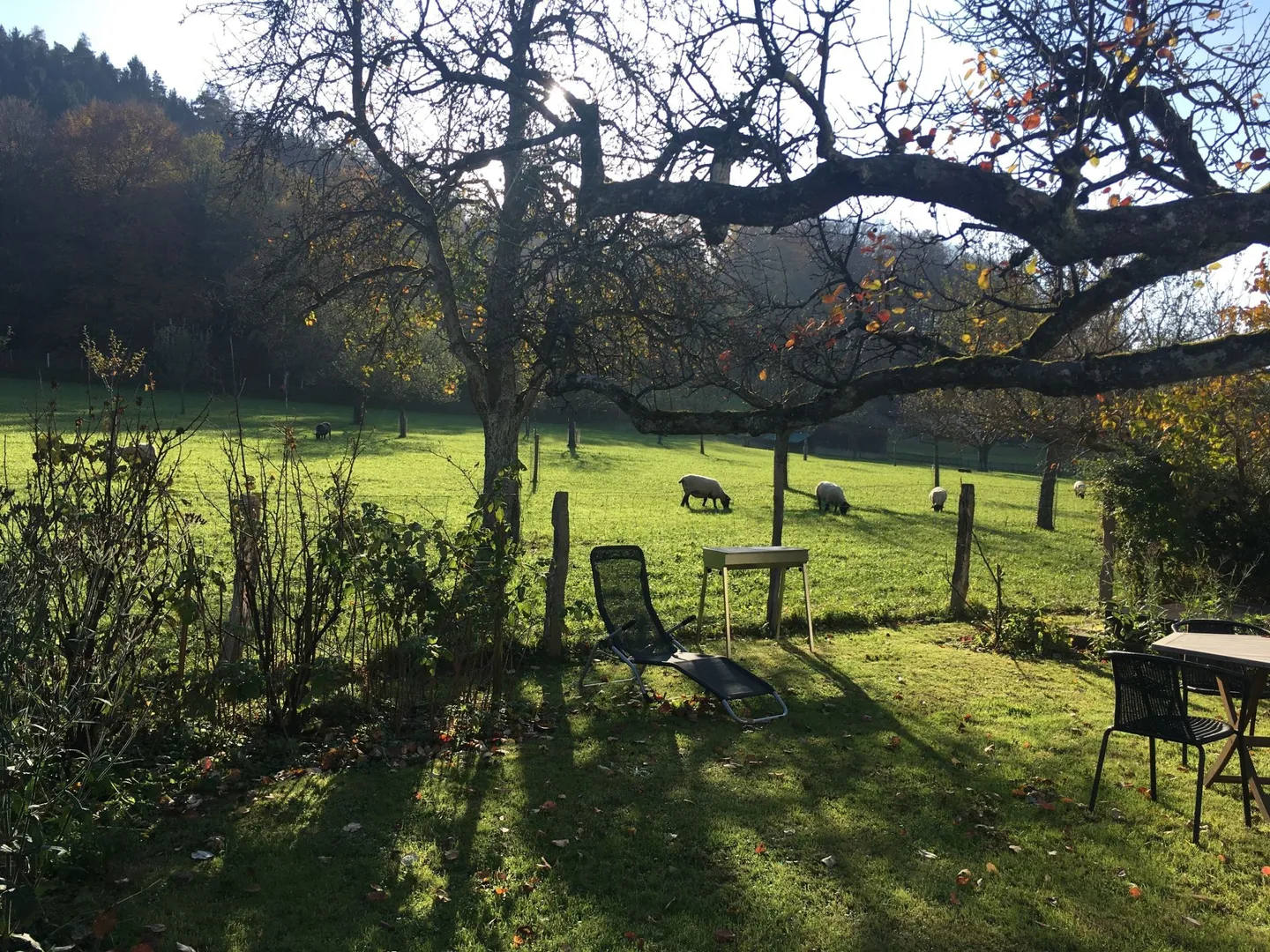 URBANO + VICINO ALLA NATURA - moderni appartamenti di 3,5 stanze con vista sul verde, Winterthur - Foto 8 di 10