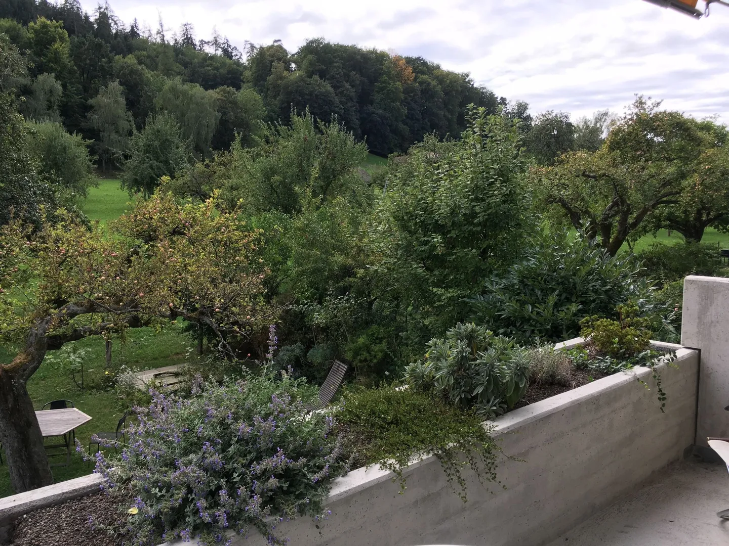 URBANO + VICINO ALLA NATURA - moderni appartamenti di 3,5 stanze con vista sul verde, Winterthur - Foto 9 di 10