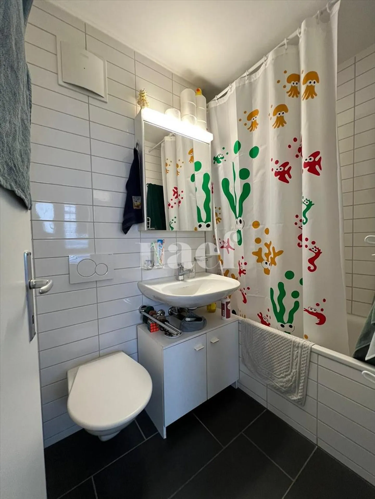 Appartement 1 pièce - Photo 3 sur 4