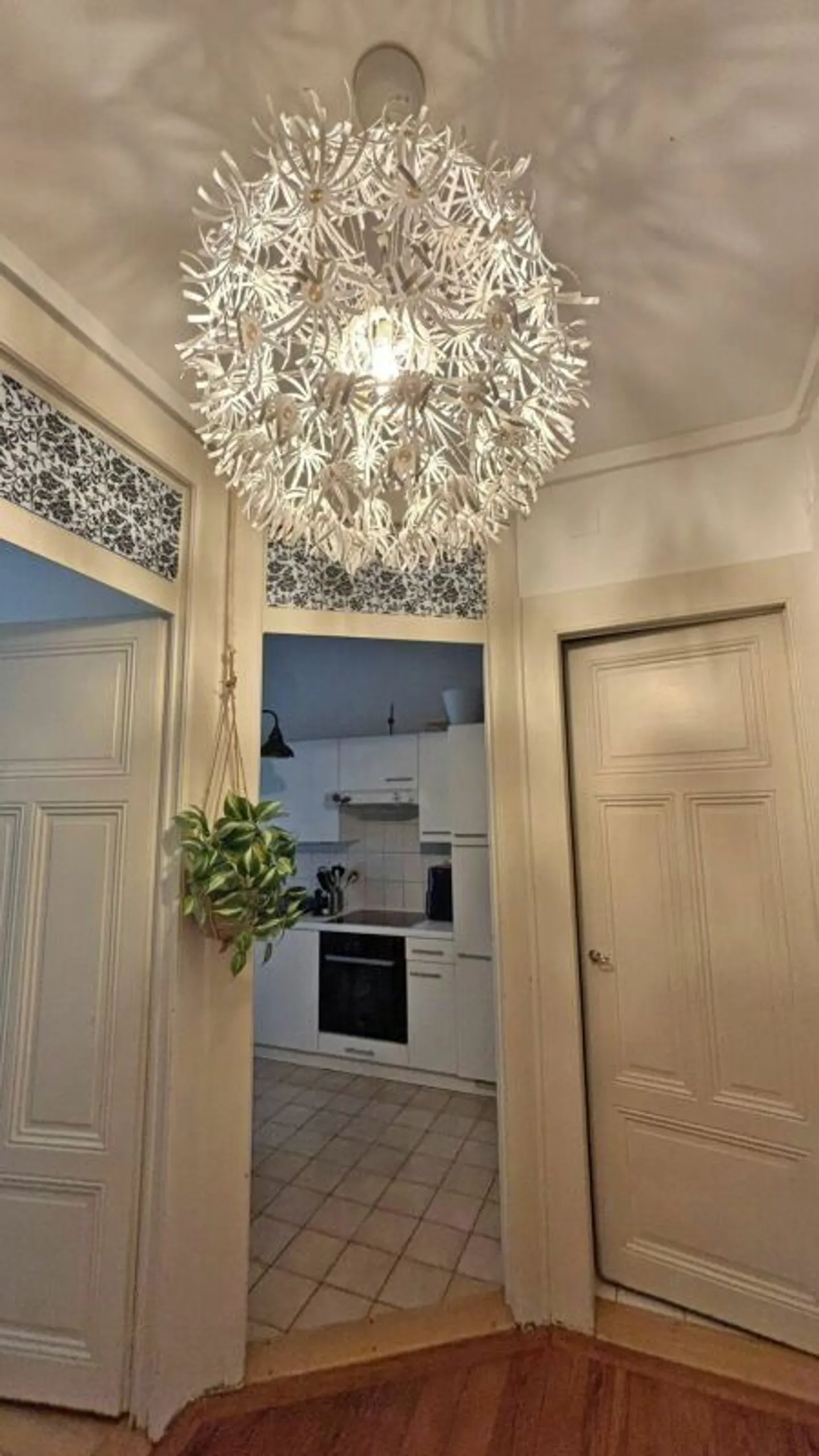 80m2 Apartment in Carouge - Photo 2 of 12