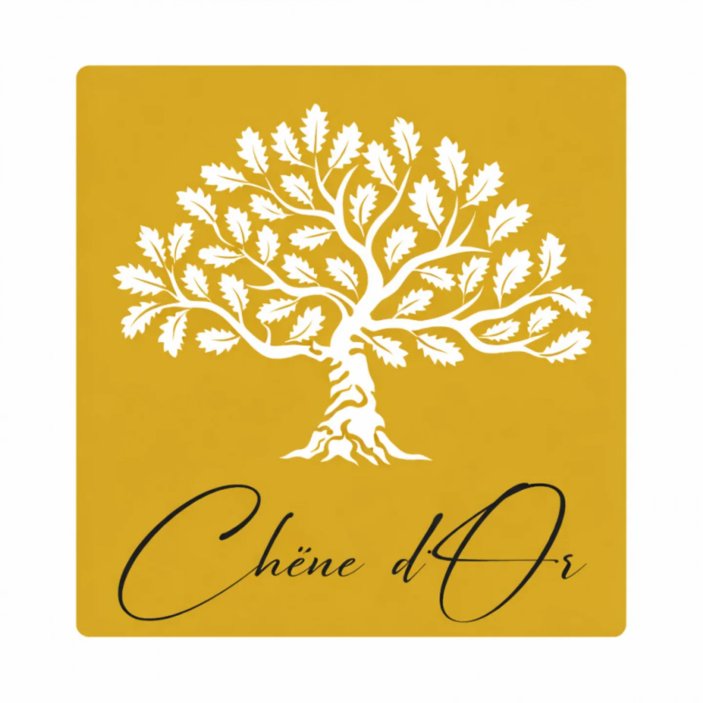 Appartamento 4.5 stanze - Foto 8 di 8