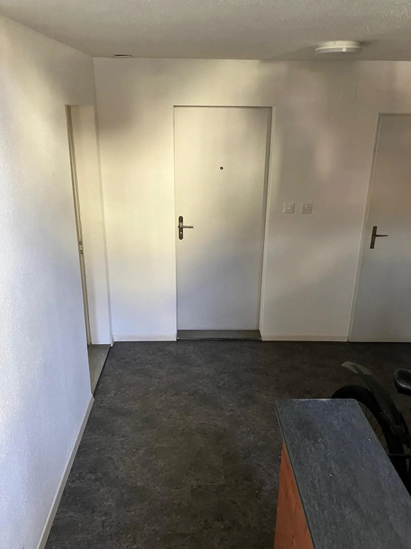Appartamento Studio 1.5 camere con grande terrazza giardino privata - Foto 2 di 16