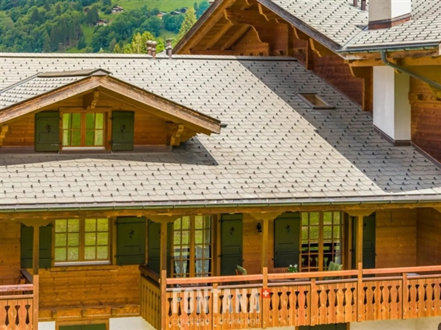 5.5 Room Apartment in Les Diablerets - Photo 20 of 20