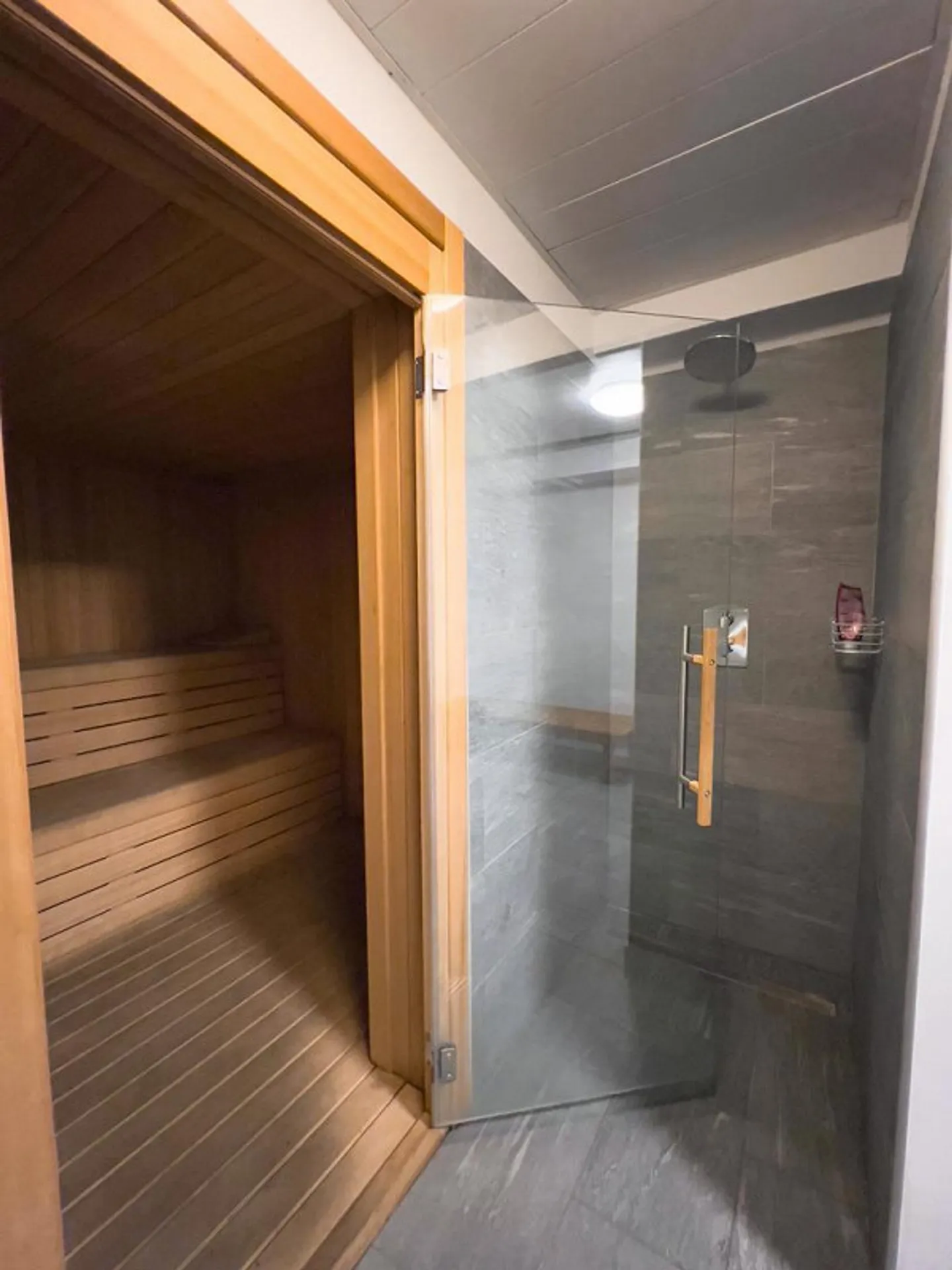 Wohnung 4.5 Zimmer zur Renovierung in Paradiso - Foto 6 von 9