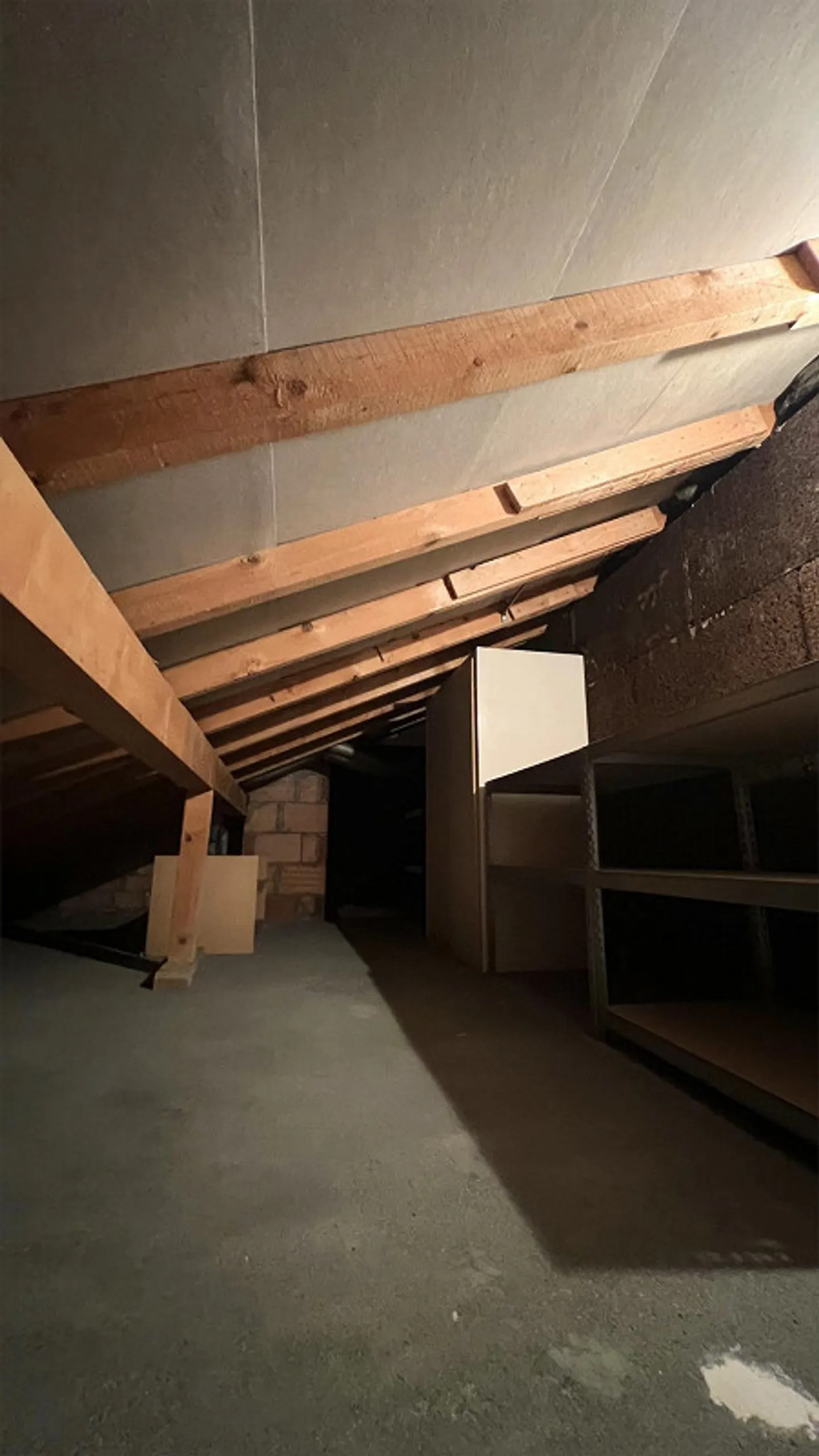 Geräumige Wohnung in Chur - Foto 13 von 13