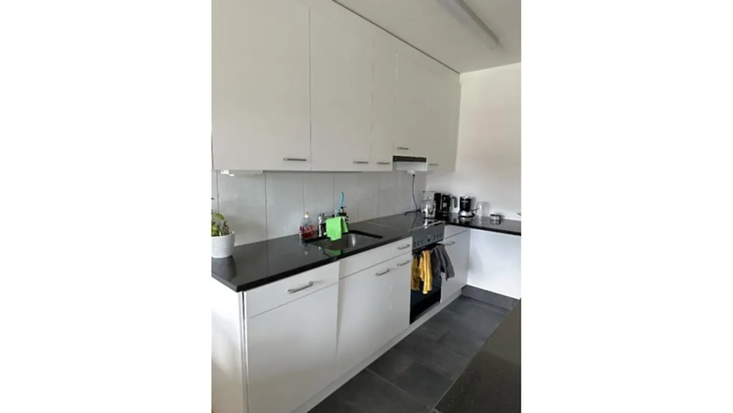 4½ ROOM APARTMENT IN VOLKETSWIL (ZH), FURNISHED, TEMPORARY - Photo 4 of 10