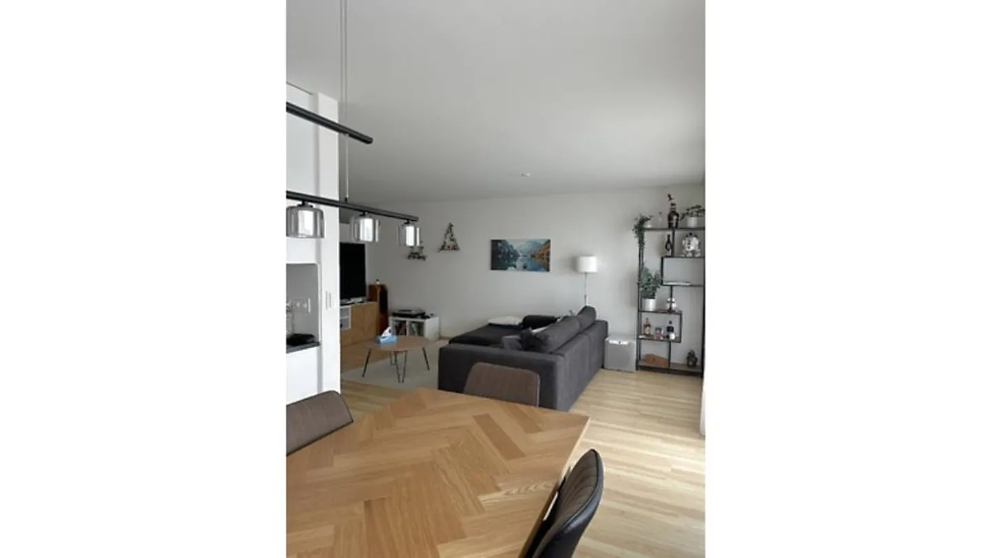 4½ ROOM APARTMENT IN VOLKETSWIL (ZH), FURNISHED, TEMPORARY - Photo 5 of 10