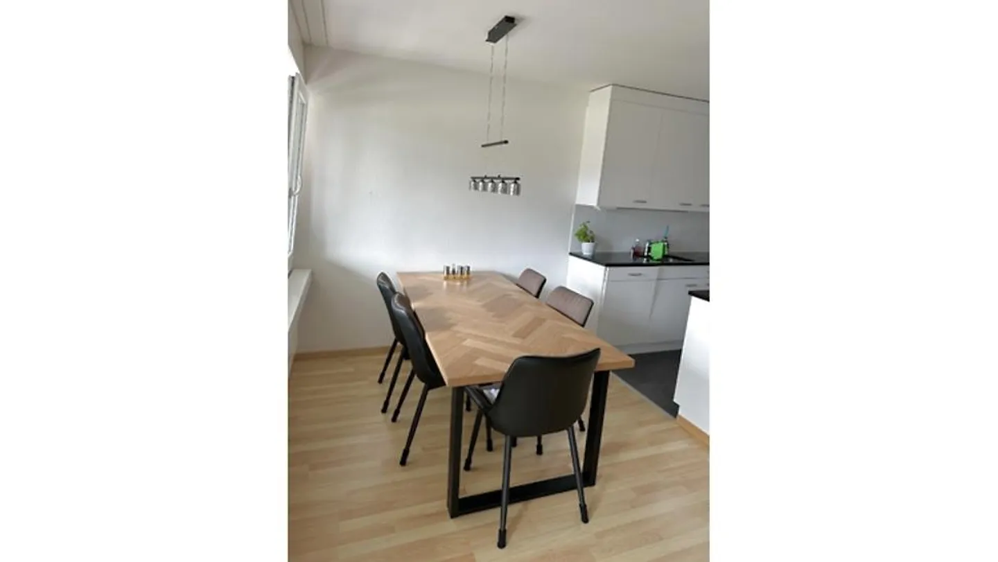 4½ ROOM APARTMENT IN VOLKETSWIL (ZH), FURNISHED, TEMPORARY - Photo 6 of 10