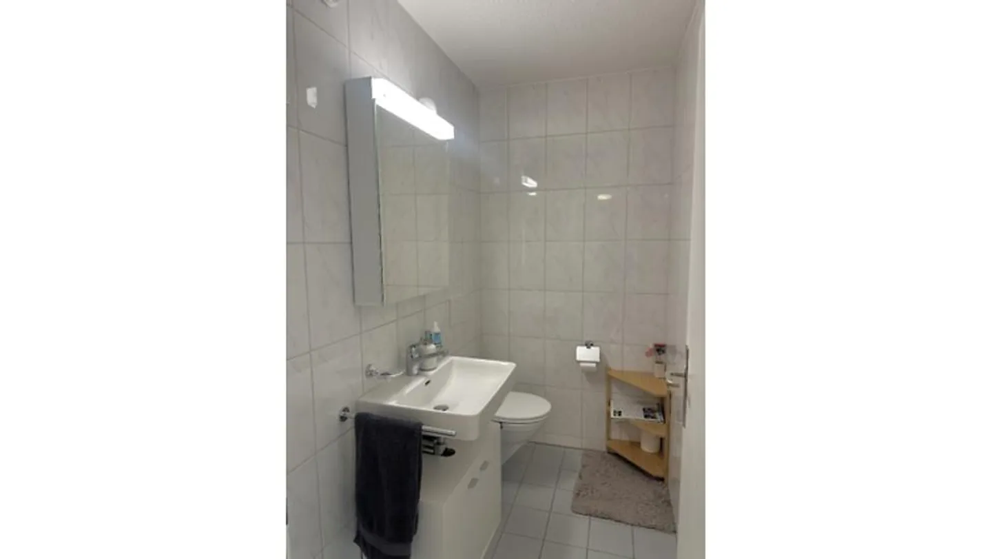 4½ ROOM APARTMENT IN VOLKETSWIL (ZH), FURNISHED, TEMPORARY - Photo 7 of 10