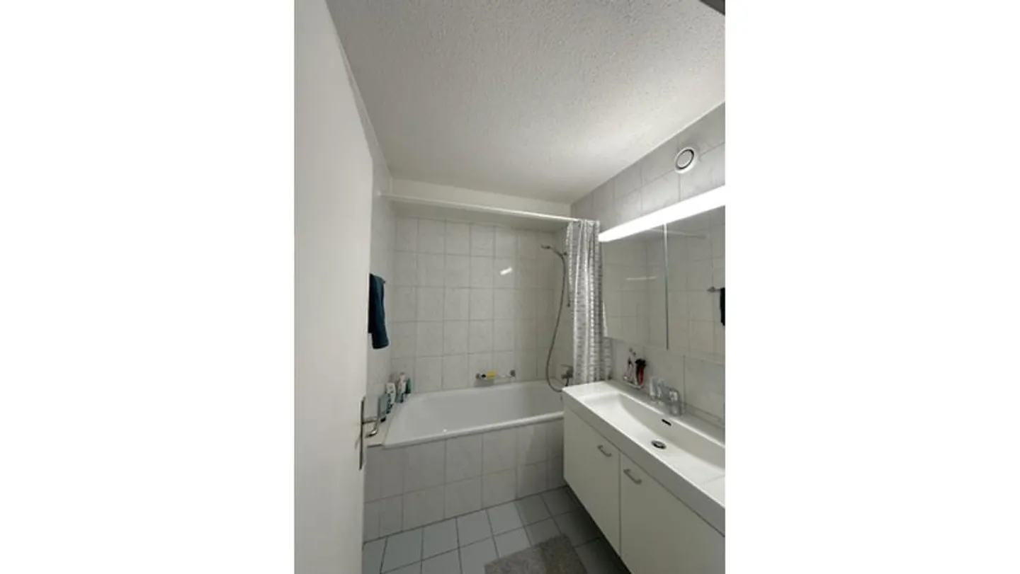 4½ ROOM APARTMENT IN VOLKETSWIL (ZH), FURNISHED, TEMPORARY - Photo 8 of 10